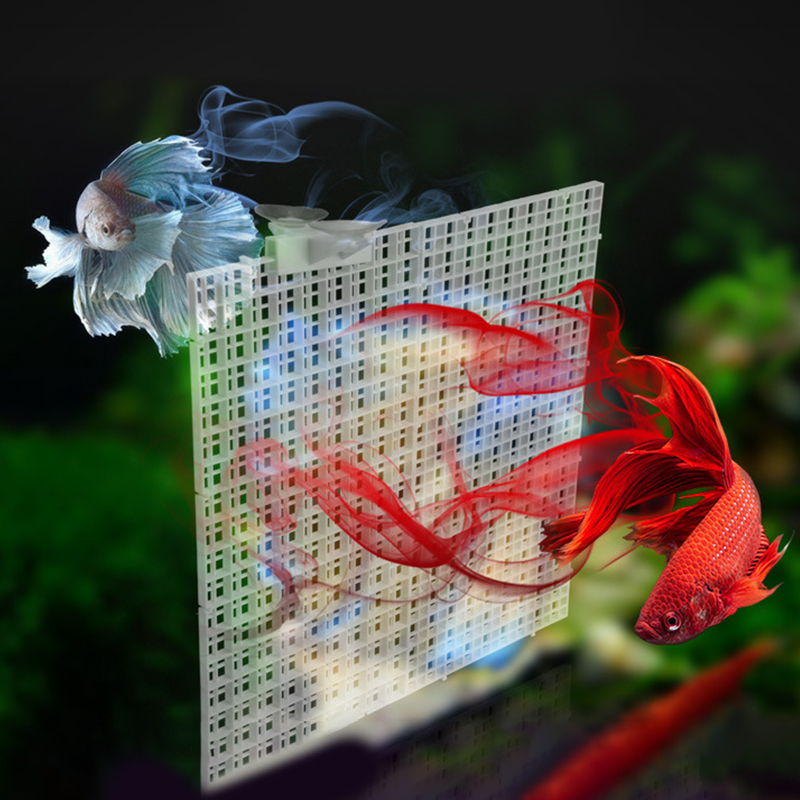 30x15cm 30x30cm Grid Divider P - Aquael Filter Fzn ulasan dan harga