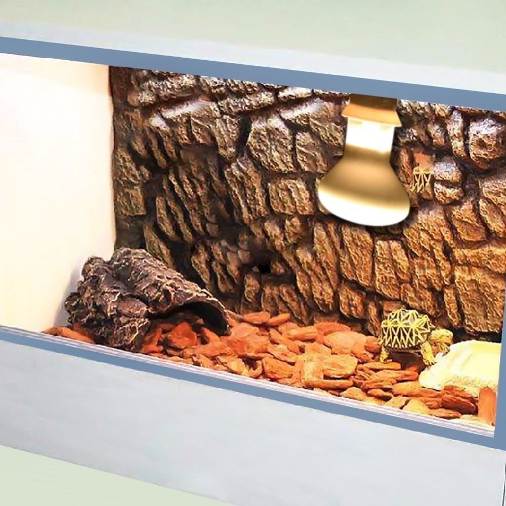 Amphibians Temperature Control - Basking Bulb Halogen ulasan dan harga