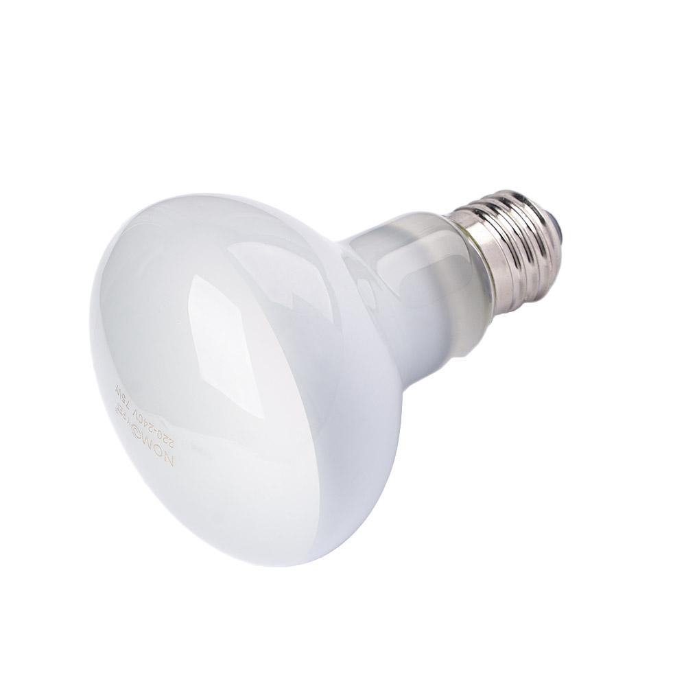 Amphibians Temperature Control - Basking Bulb Halogen ulasan dan harga