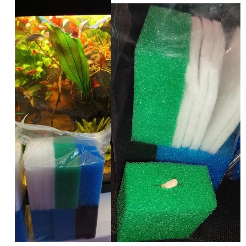 Pack of 60 Compatible Poly Pad - Aquael Filter Fzn ulasan dan harga