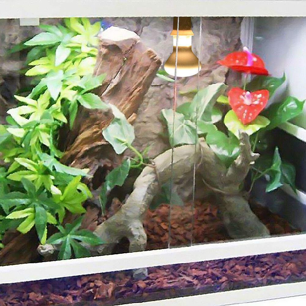 Turtle Heater Heat Lamp Baskin - Basking Bulb Halogen ulasan dan harga