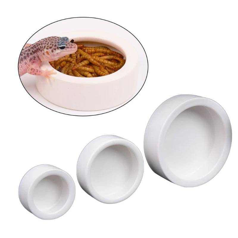 Reptile Food Bowl Anti-Escape  - Water Dish Reptile ulasan dan harga