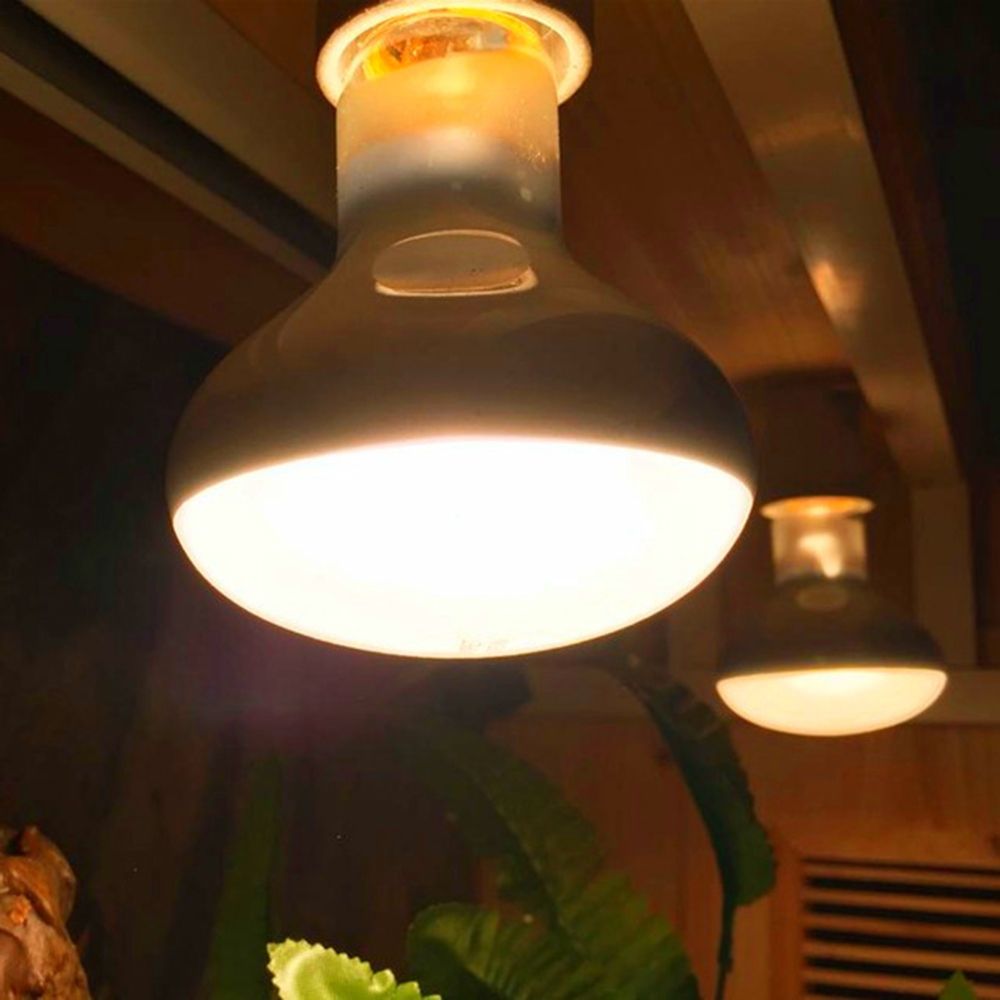 Turtle Heater Heat Lamp Reptil - Basking Bulb Halogen ulasan dan harga