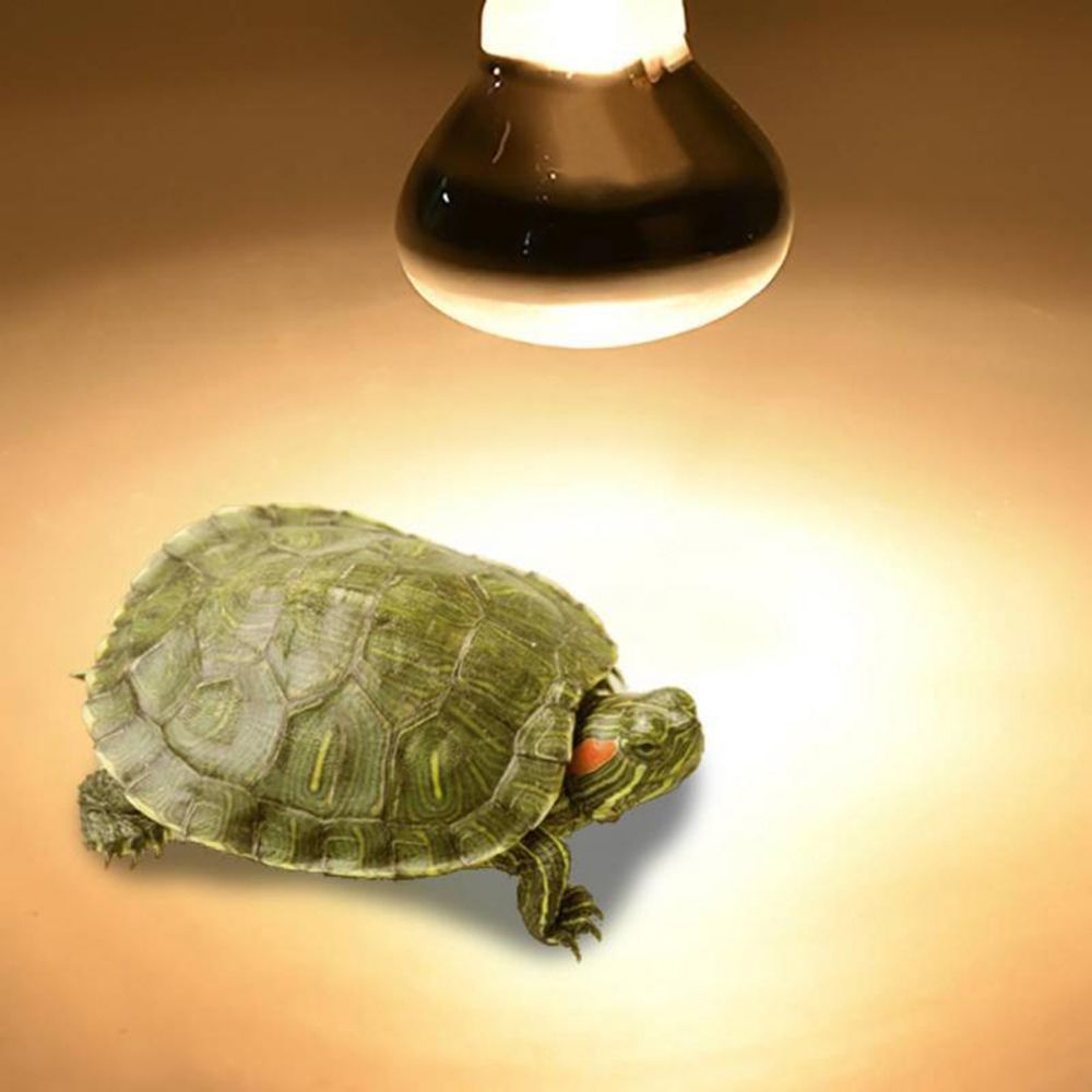 Turtle Heater Heat Lamp Reptil - Basking Bulb Halogen ulasan dan harga