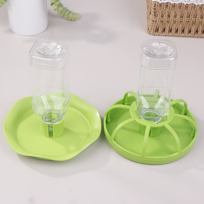 Reptile Water Drinker Dispense - Water Dish Reptile ulasan dan harga