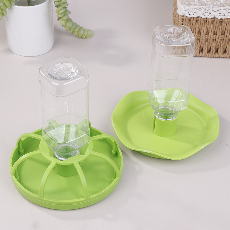 Reptile Water Drinker Dispense - Water Dish Reptile ulasan dan harga